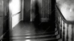 Ghosts & Gravestones Tour St Augustine Photos Adventure