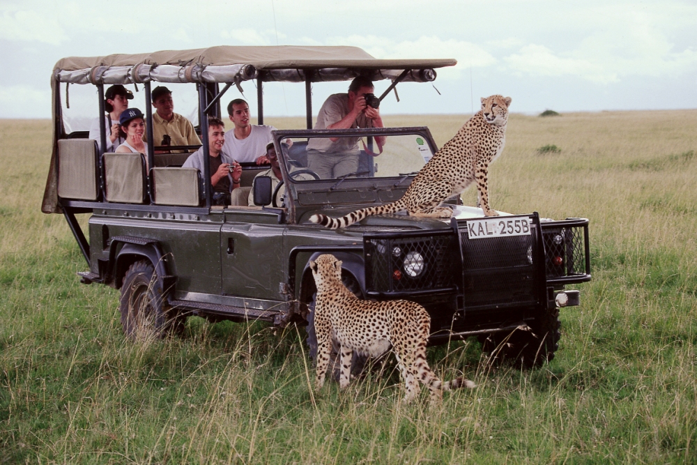Kenya safari tour packages