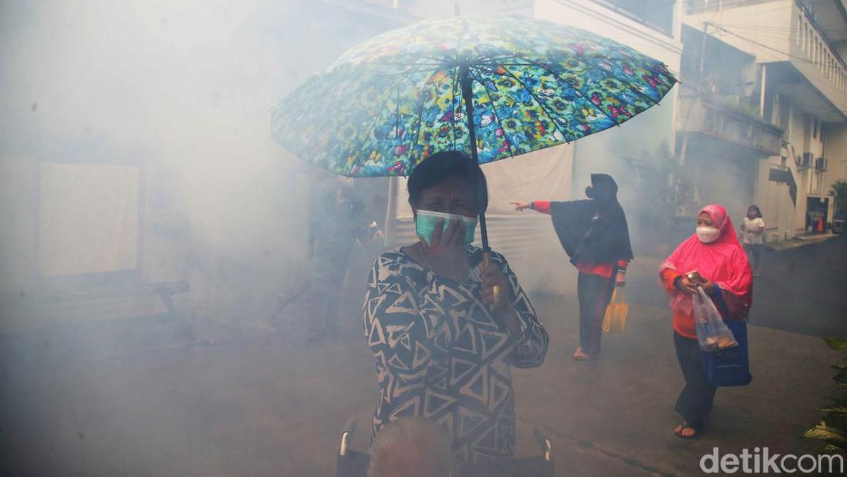 5 Provinsi RI dengan Laporan Chikungunya Terbanyak, Jabar Catat 6 Ribu ... 5 Provinsi RI dengan Laporan Chikungunya Terbanyak, Jabar Catat 6 Ribu ...