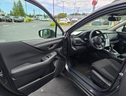 All bag your ultimate guide to understanding translation