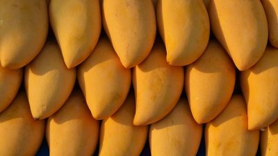 Mango with section on a white background | Mango with sectio… | Flickr