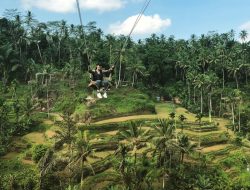 viator istanbul tours Discover Unforgettable Adventures