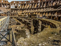 Colosseum Tours Official Site Discover The Wonders